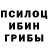 ГАШИШ гарик Magos Regul