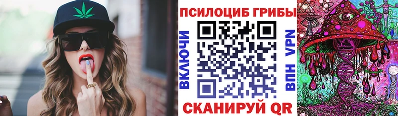 сайты даркнета наркотические препараты  хочу наркоту  Суджа  Галлюциногенные грибы Magic Shrooms  МЕГА как войти 